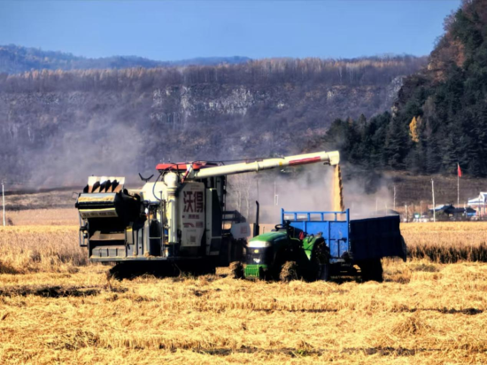 ������ί������/���D