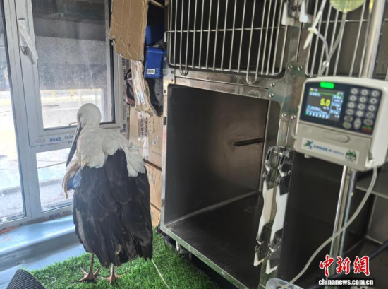 �܂��Ė|�����X���ڽ���ݔҺ�ί�����ʯ���� �z