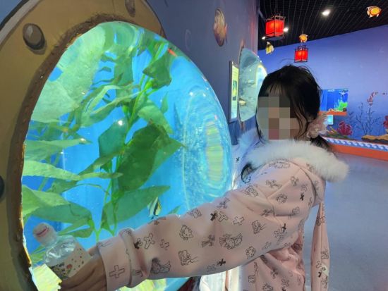 �����繤/���D